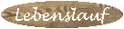 Lebenslauf